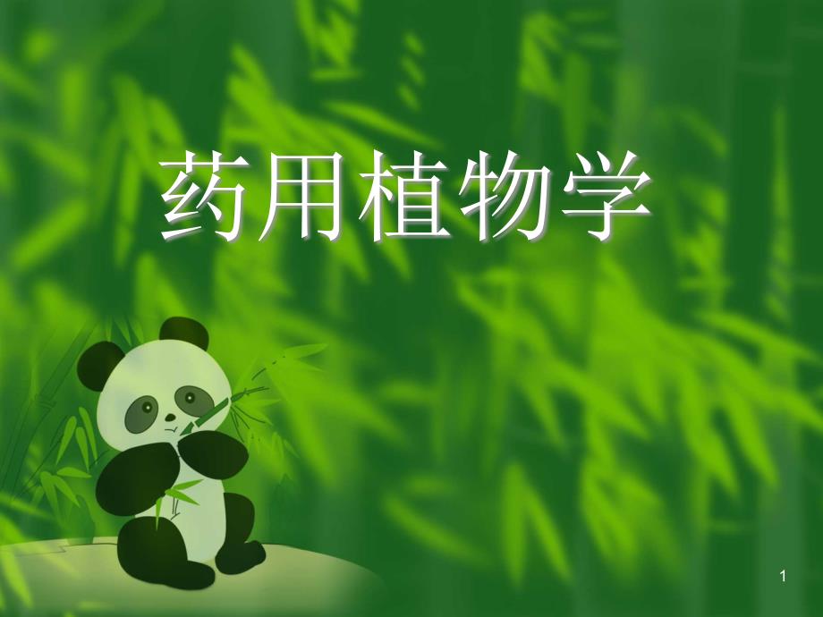 药用植学ppt课件_第1页