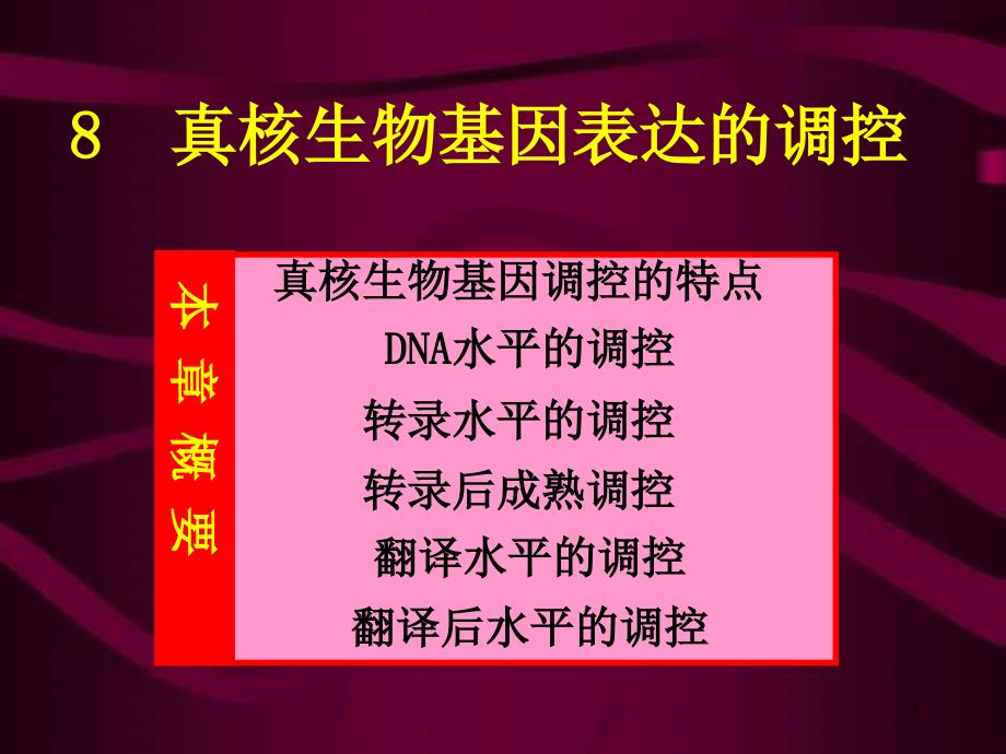 真核基因表达调控5ppt课件_第1页