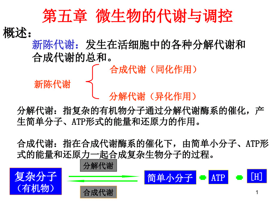 第一节-微生物的能量代谢ppt课件_第1页