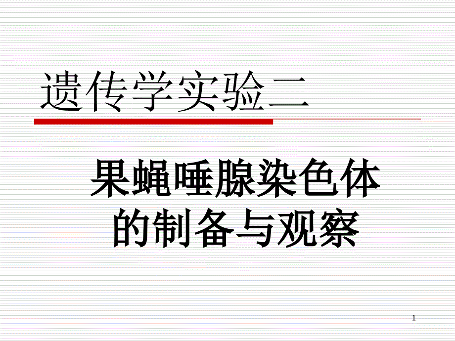 遗传学实验果蝇唾腺染色体ppt课件_第1页