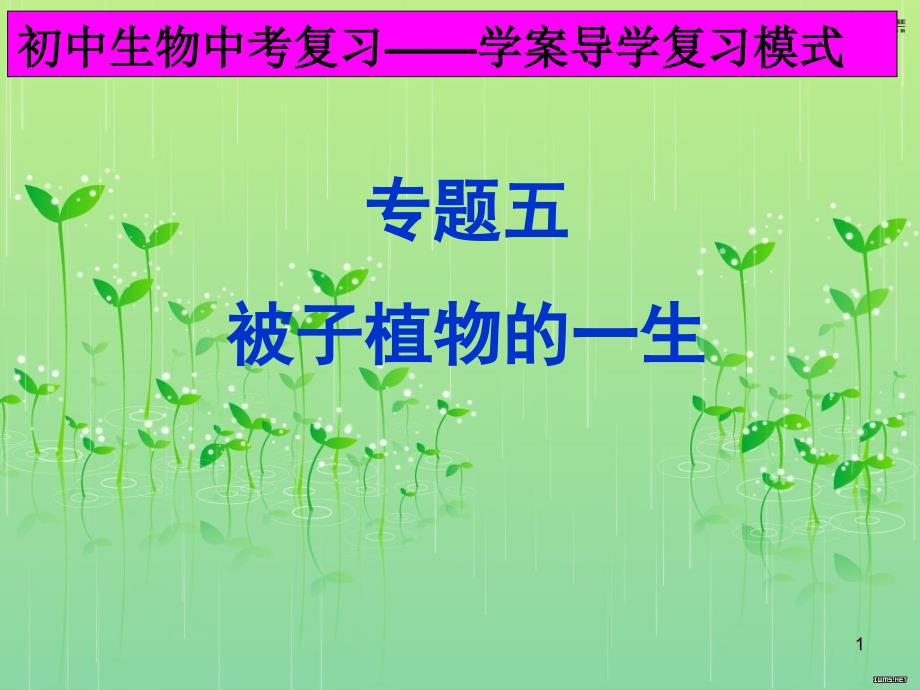 新人教版中考生物专题复习：被子植物的一生ppt课件_第1页