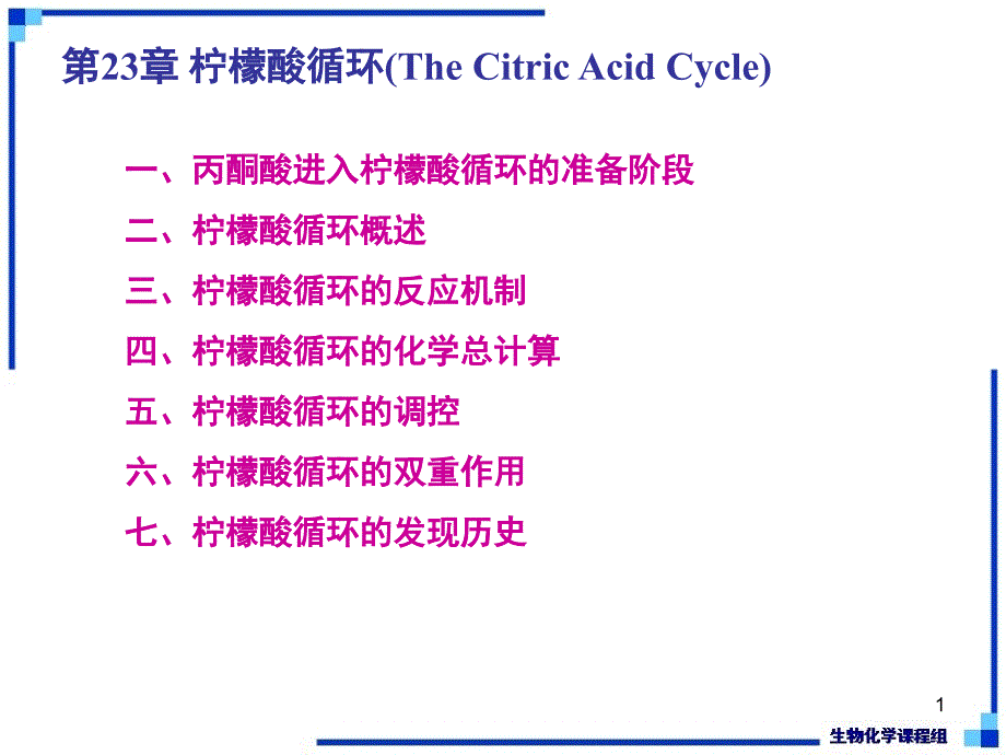 生物化学下-第23章-柠檬酸循环-ppt课件_第1页