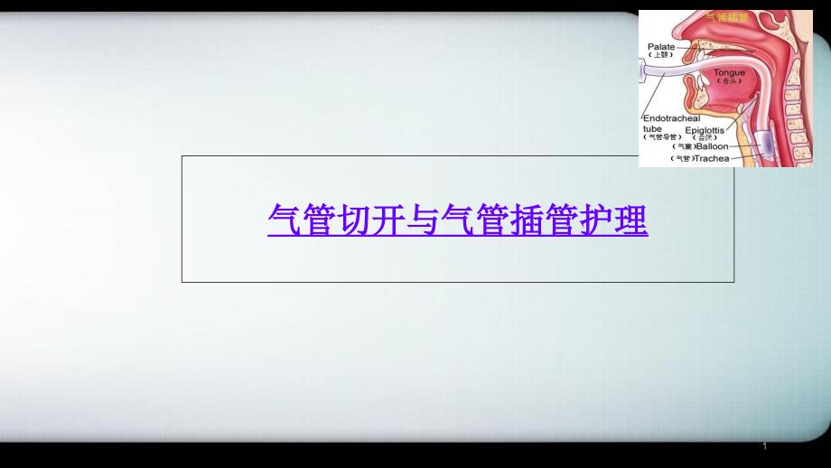 气管切开与气管插管护理医学课件_第1页