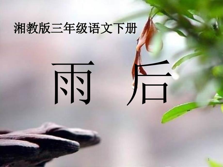 《雨后》课件十一_第1页