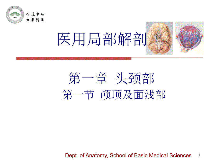 医用局部解剖学颅面部-课件_第1页