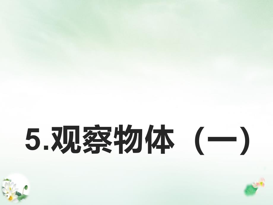 《观察物体》课件小学数学人教版_第1页