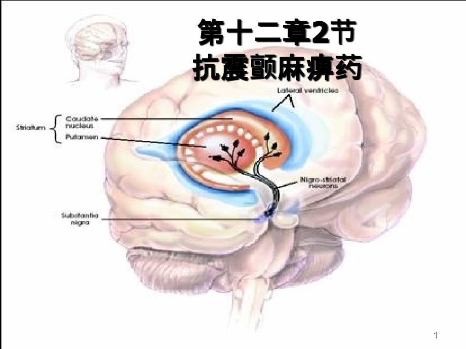 12章抗震颤麻痹药_第1页