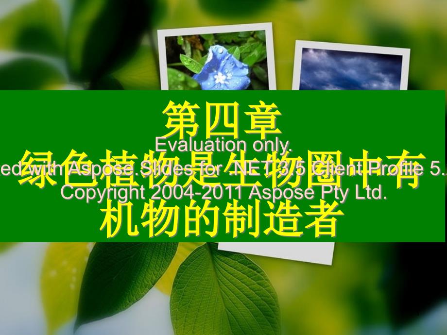 绿色植物通过光合作用制造有机物ppt课件_第1页