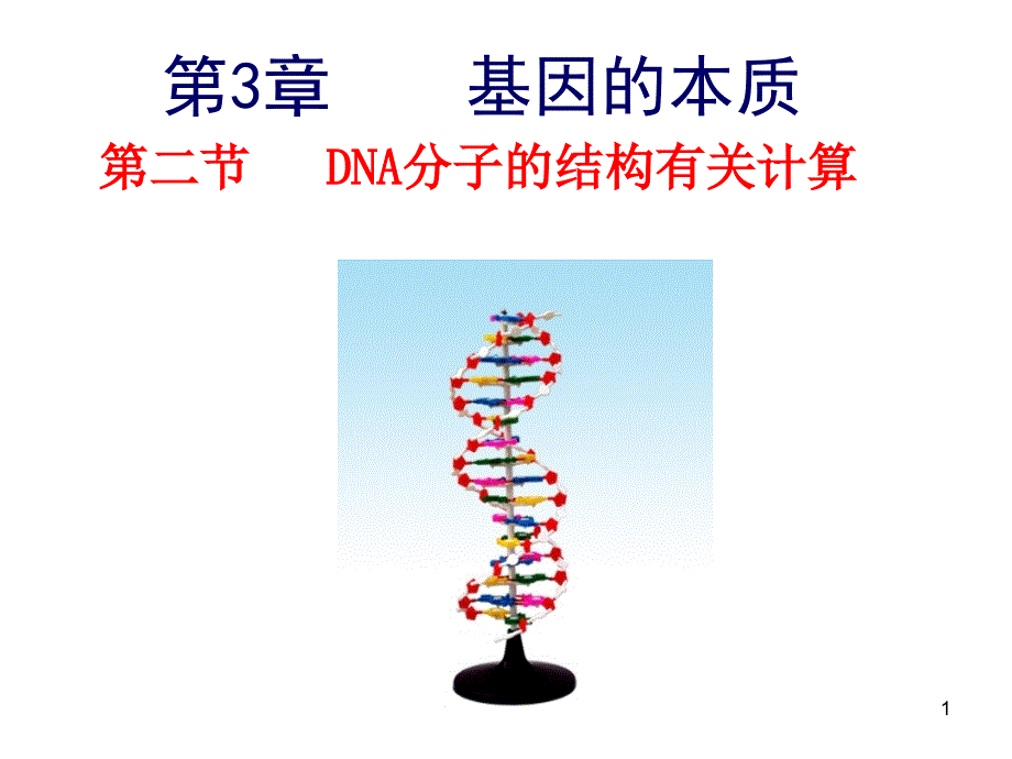 DNA分子的结构计算课件_第1页