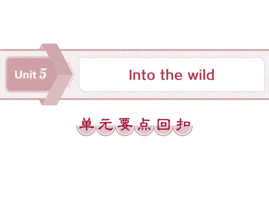 《Into-the-wild》单元要点回扣课件_第1页