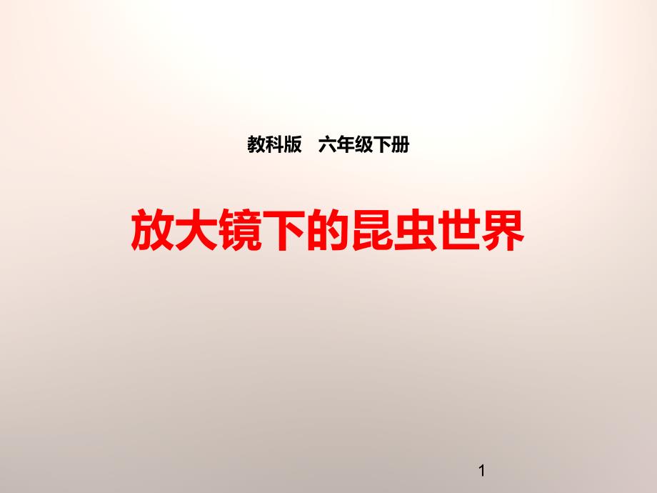 《放大镜下的昆虫世界》微小世界ppt课件_第1页