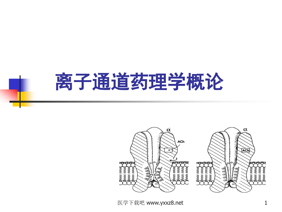 离子通道药理学概论ppt课件_第1页