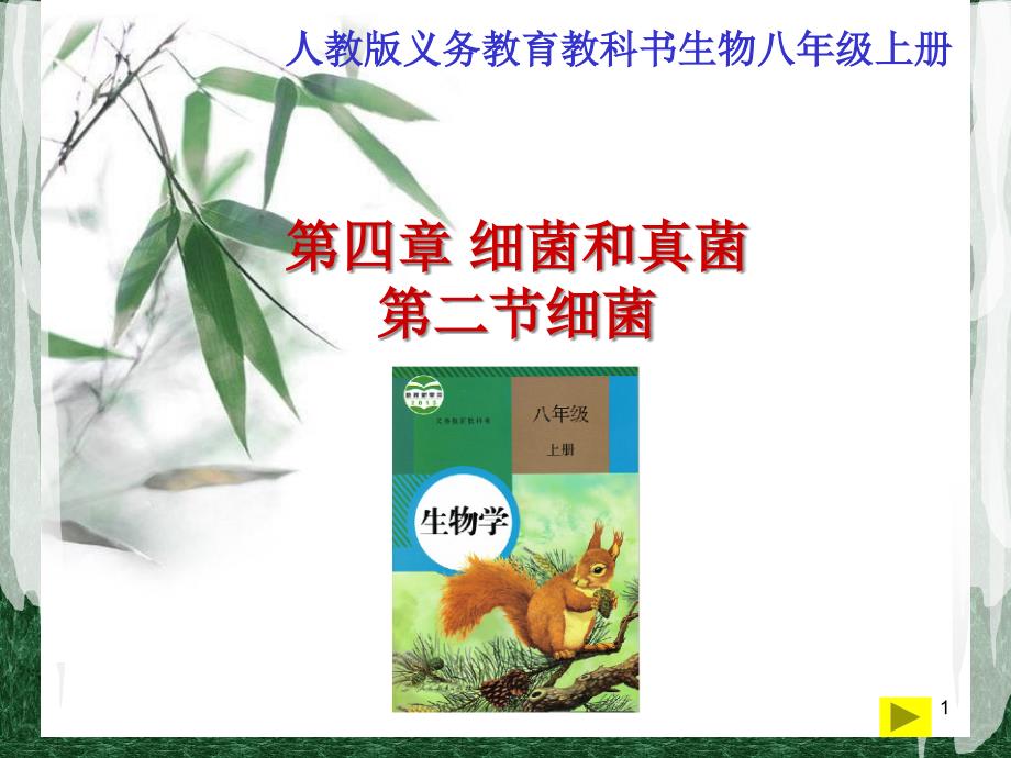 细菌说课教学ppt课件_第1页