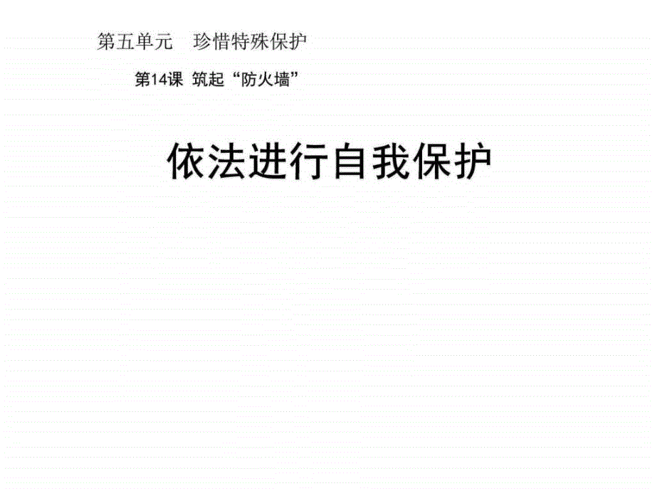 (新)苏人版道德与法治七年级下册142依法进行自_第1页