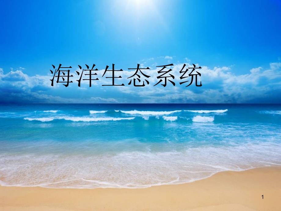 海洋生态系统.分解ppt课件_第1页