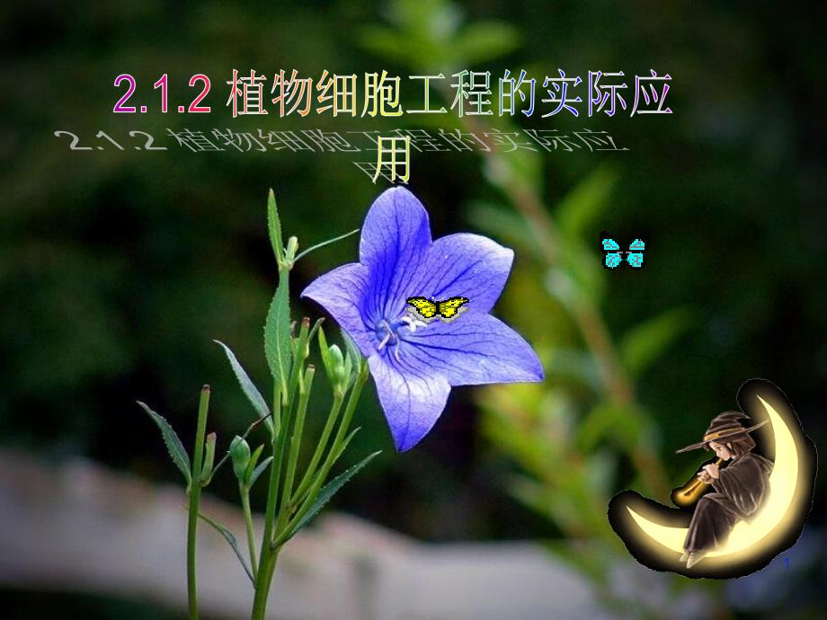 选修三212植物细胞工程的实际应用ppt课件_第1页