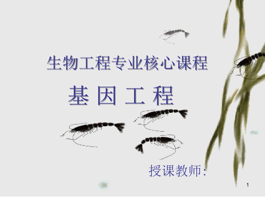 1 基因工程的基本概念 2 基因工程的诞生 3 基因工程的研究内容 4 基因_第1页