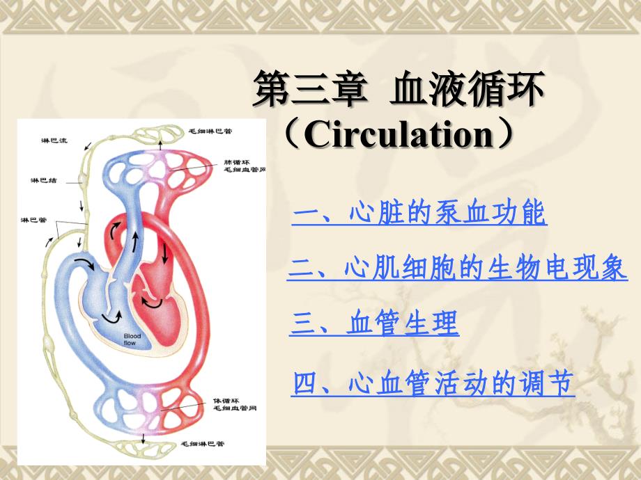 心血管活动的调节.22ppt_第1页