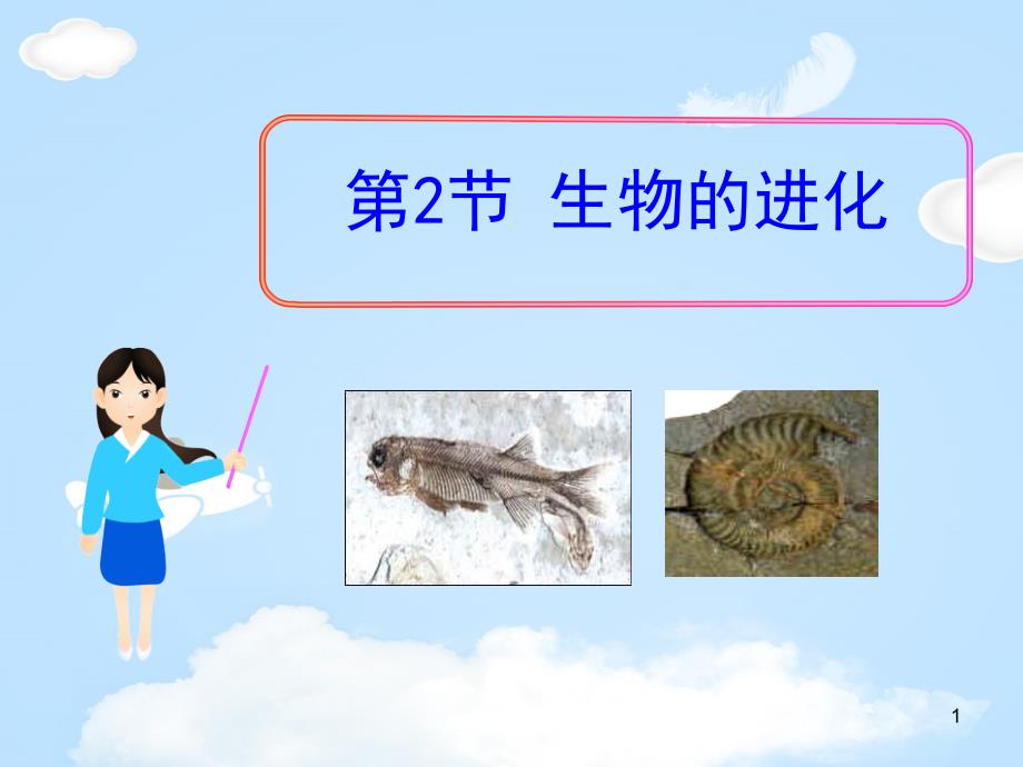 《生物的进化》【优质ppt课件】_第1页