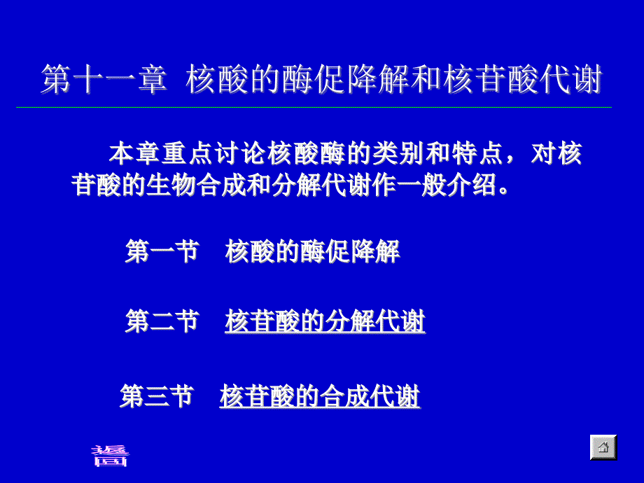 生物化学合工大第十二章核酸的酶促降解和核苷酸代谢ppt课件_第1页