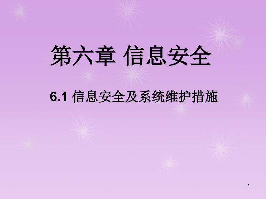 信息安全及系统维护措施课件_第1页