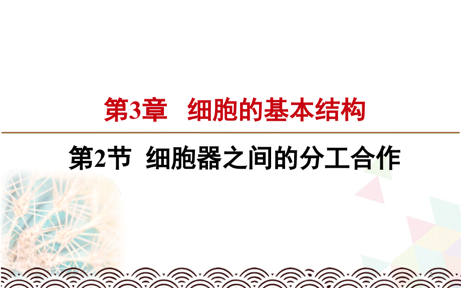 (新教材)细胞器之间的分工合作课件人教版_第1页