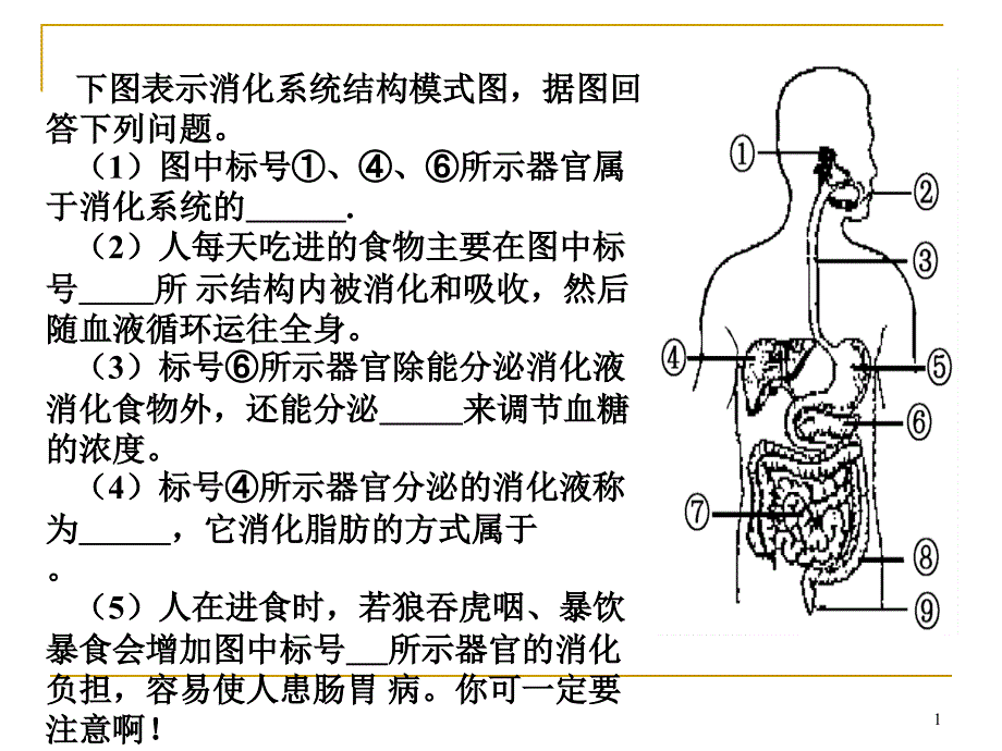 第三节合理膳食与食品安全课件_第1页