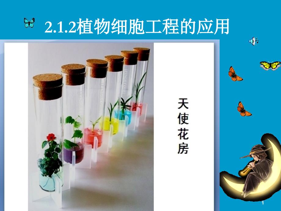 2-1-2_植物细胞工程的实际应用_第1页