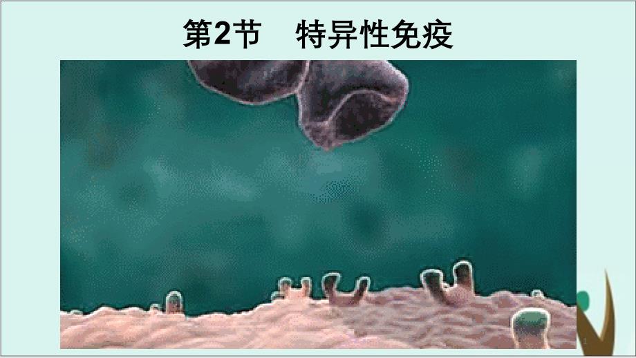 《特异性免疫》人教版高中生物完美ppt课件_第1页