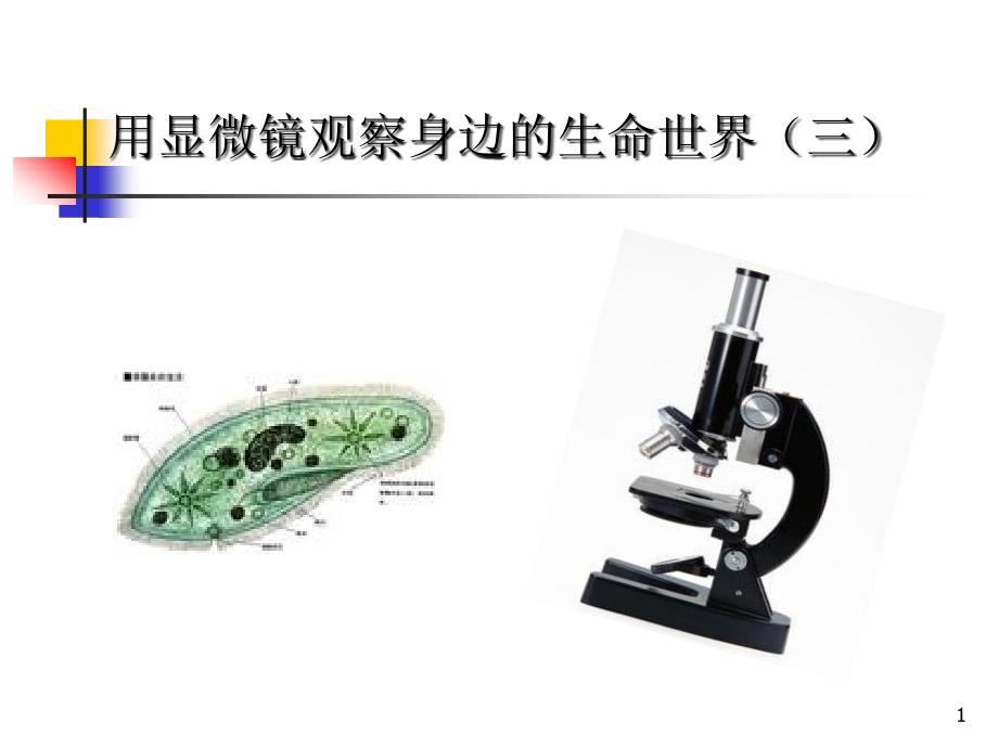 《用显微镜观察身边的生命世界(三)》微小世界课件_第1页