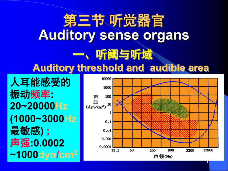 生理学-09-3听觉器官讲座ppt课件_第1页