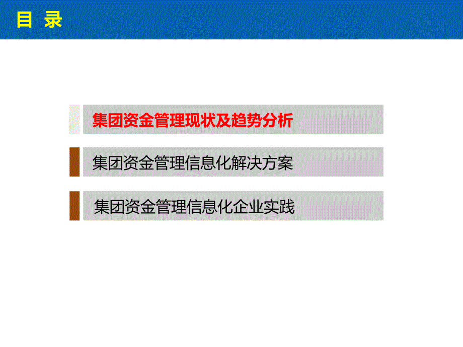 央企资金管理信息化课件_第1页