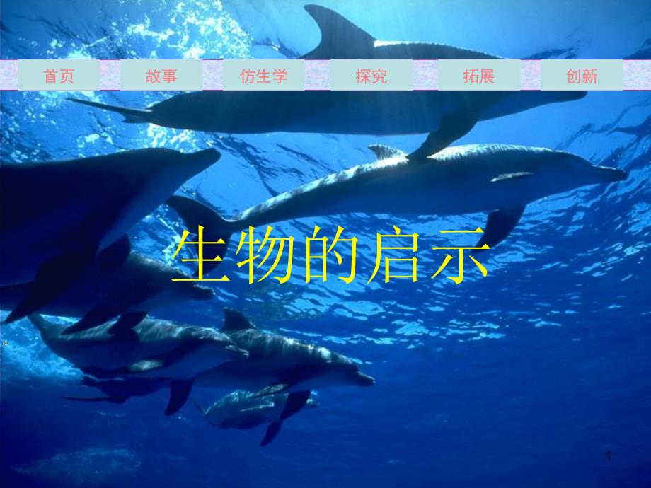 小学科学ppt课件生物的启示_第1页