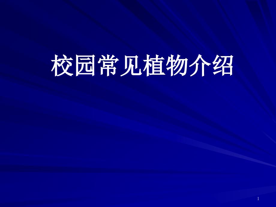 校园常见植物介绍课件_第1页