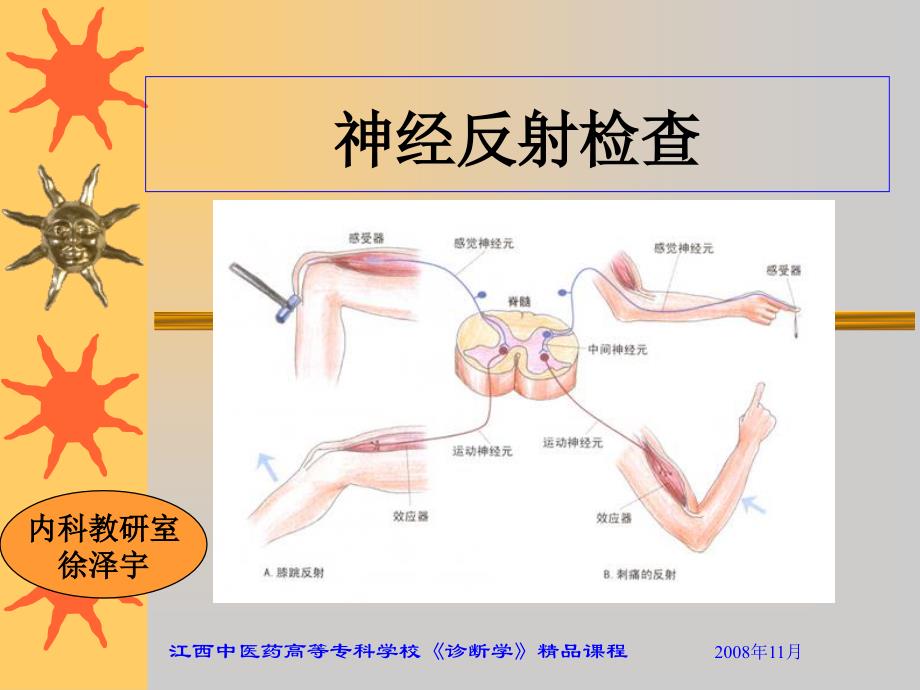 神经反射检查ppt课件_第1页