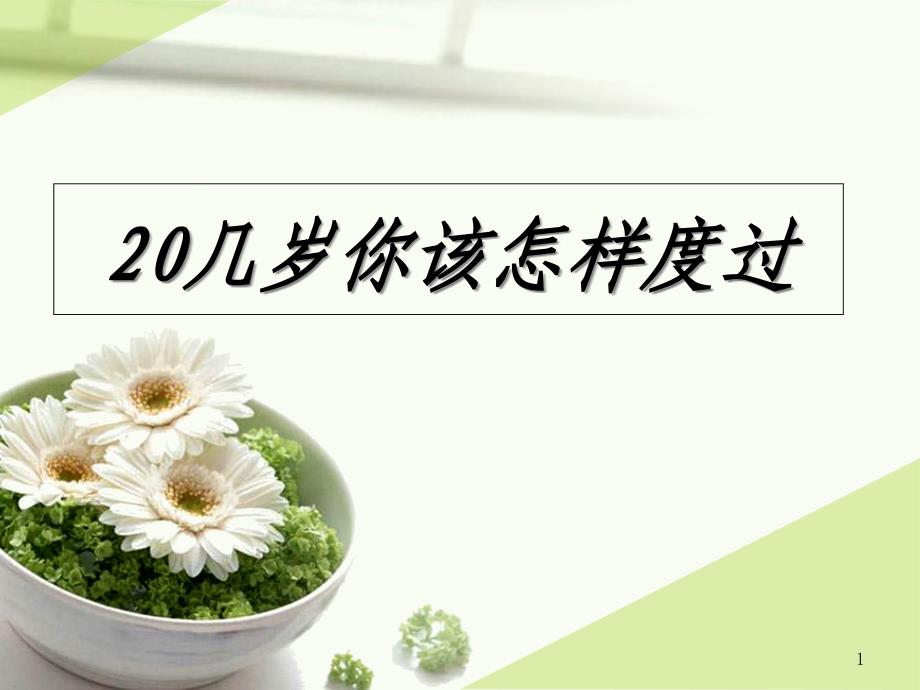 《淡雅小盘菊花》课件_第1页