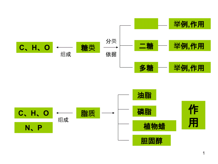 13 有机化合物与生物大分子——蛋白质和核酸_第1页