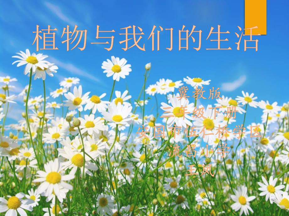 小学科学【苏教版】植物和我们优秀课件_第1页