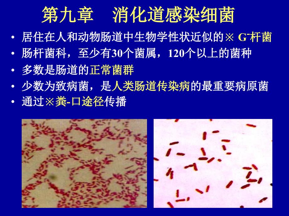 消化道感染细菌ppt课件_第1页