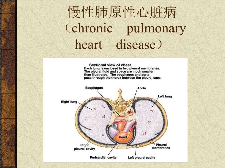 《慢性肺原性心脏病》课件_第1页