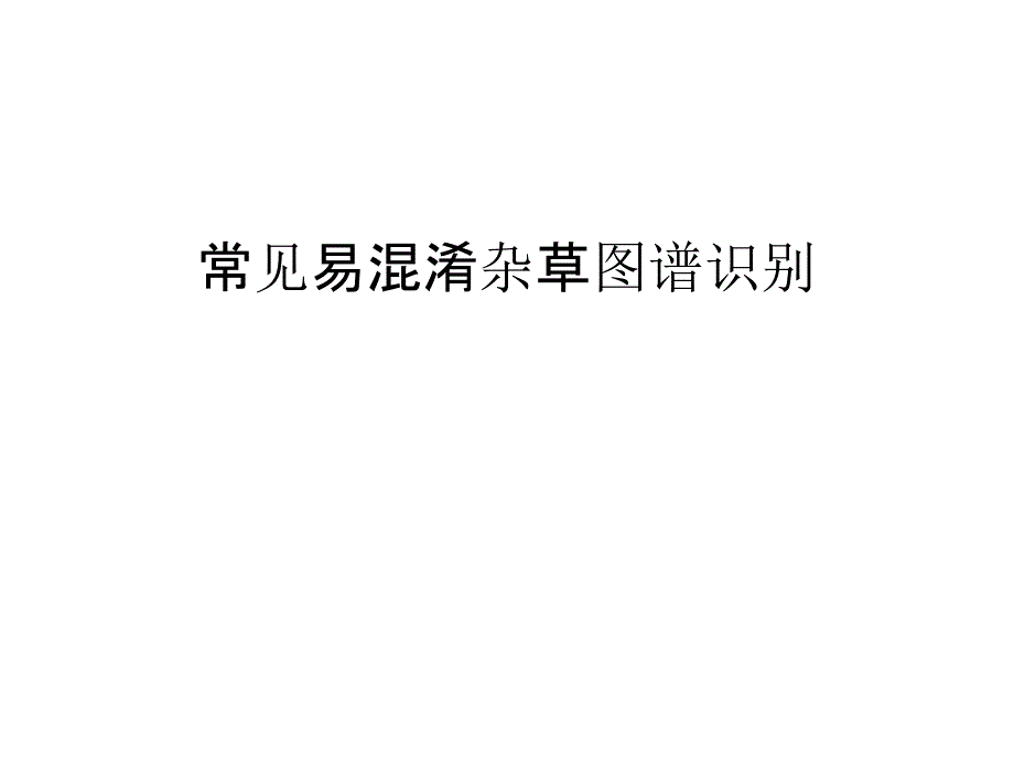 常见易混淆杂草图谱识别讲课讲稿课件_第1页