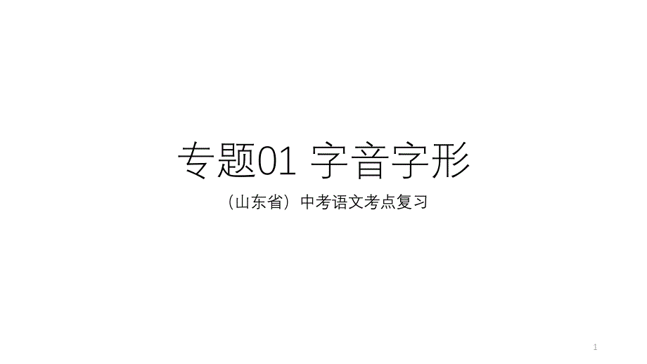 山东省中考语文考点：01字音字形--ppt课件_第1页