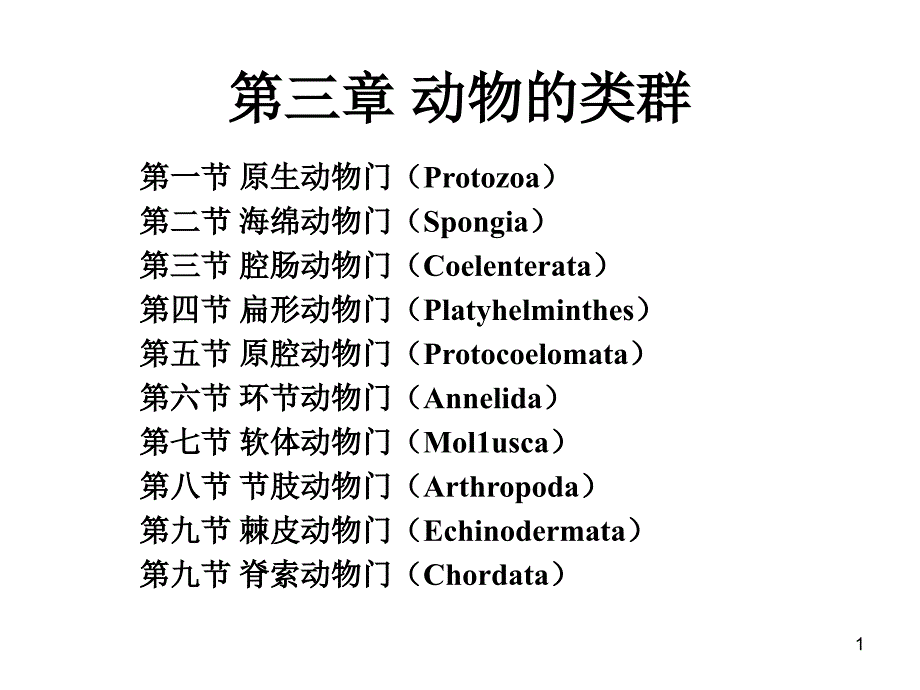 动物的基本类群课件_第1页