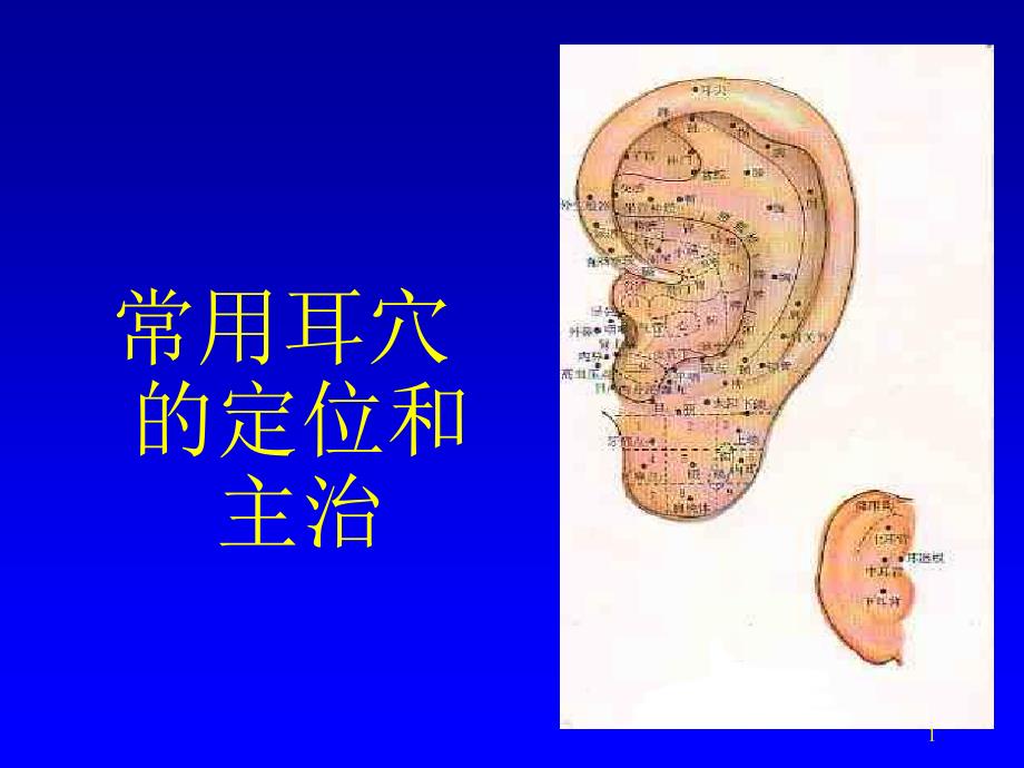 常用耳穴的定位和主治-课件_第1页