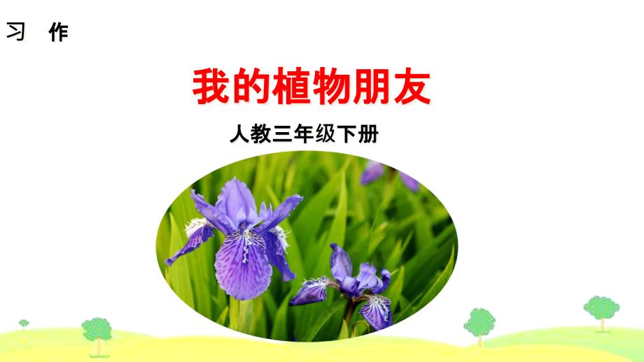 习作-我的植物朋友课件_第1页