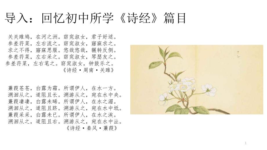 (统编版教材)芣苢优质教学课件_第1页