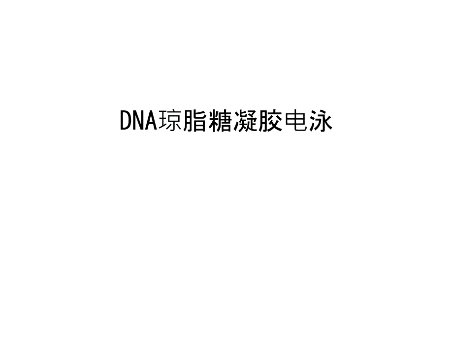 DNA琼脂糖凝胶电泳教学提纲课件_第1页