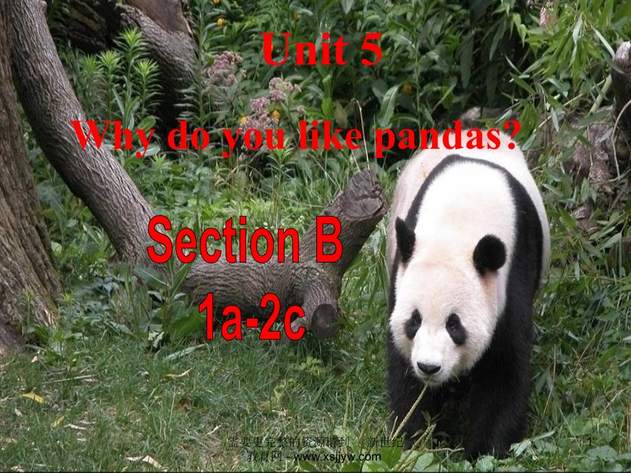 Unit-5-Why-do-you-like-pandas-全单元ppt课件_第1页