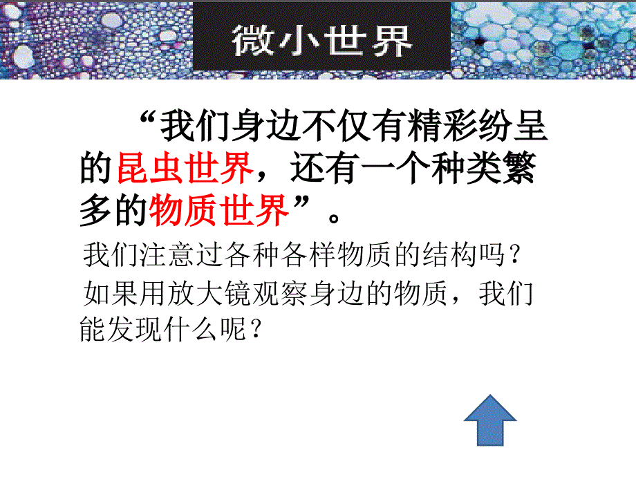 教科版放大镜下的晶体精美ppt课件_第1页