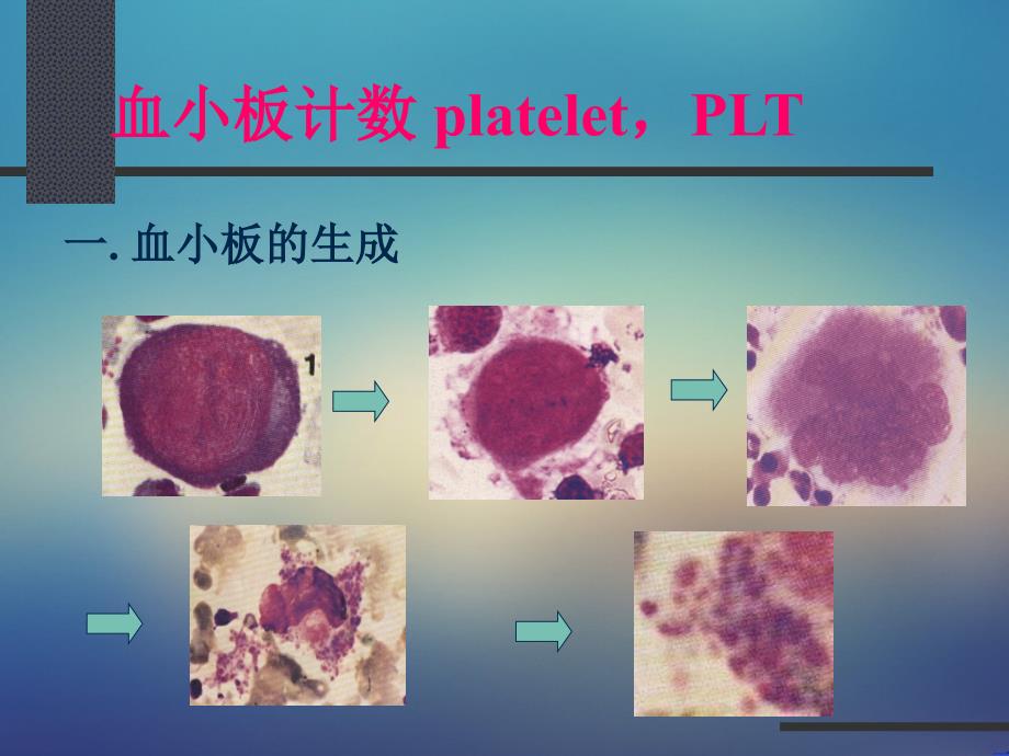 临床检验学-血小板检验课件_第1页